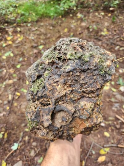 Mole Hill Peak - Dayton, VA