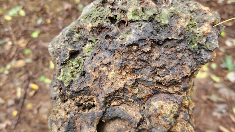 Mole Hill Peak - Dayton, VA