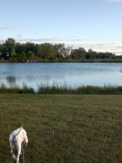 De Kalb City Lake Park - De Kalb, TX