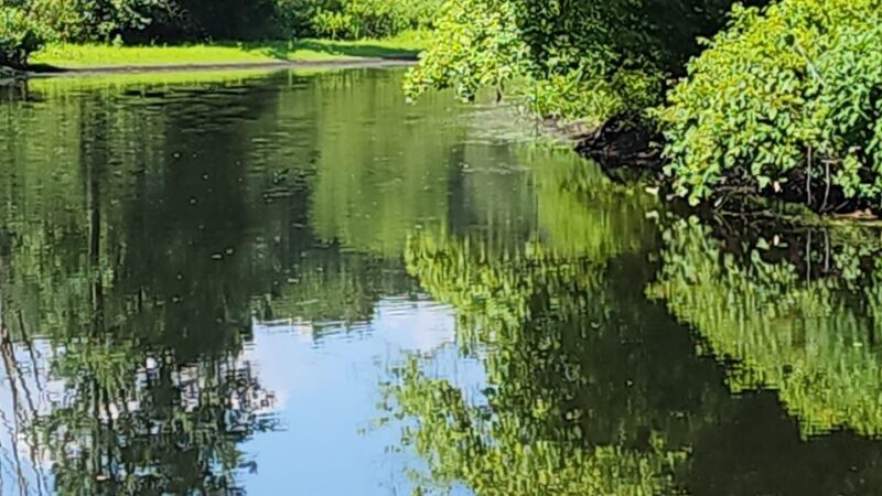 Dedham Parks & Recreation Complex - Dedham, MA