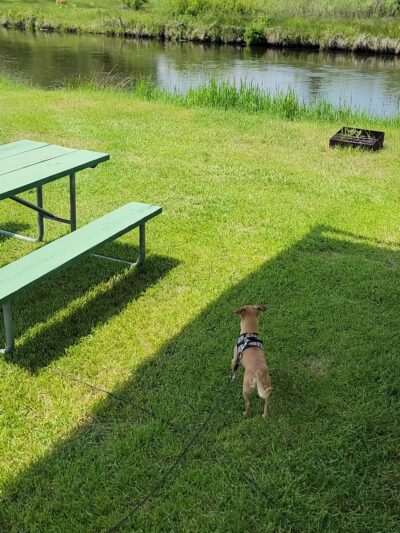 Deer Lodge A-OK Campground and RV Site - Deer Lodge, MT