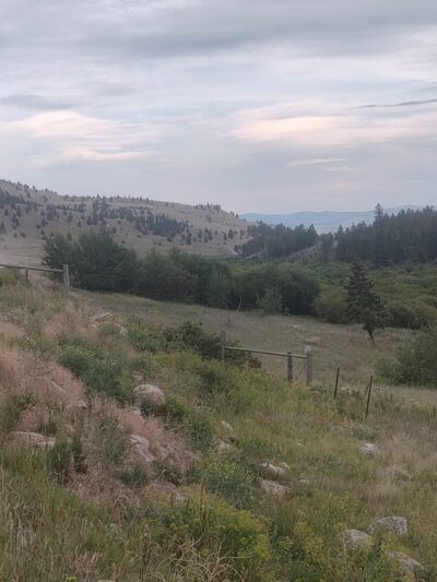 Racetrack campground - Deer Lodge, MT