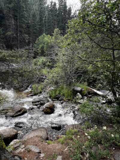 Racetrack campground - Deer Lodge, MT