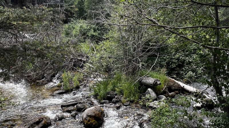 Racetrack campground - Deer Lodge, MT