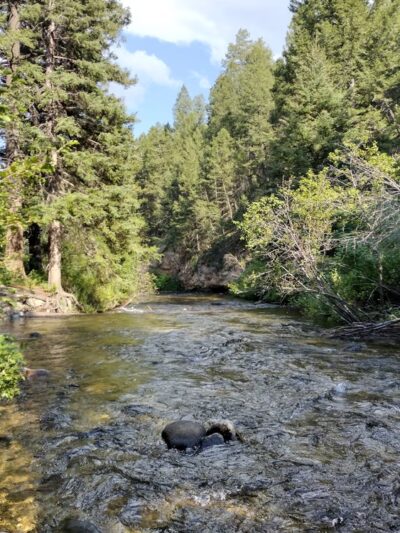Racetrack campground - Deer Lodge, MT