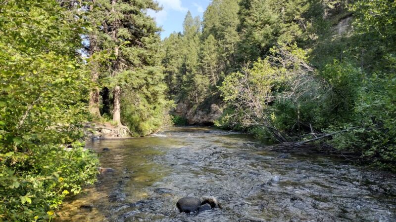 Racetrack campground - Deer Lodge, MT