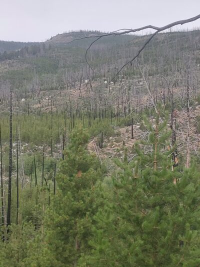 Racetrack campground - Deer Lodge, MT
