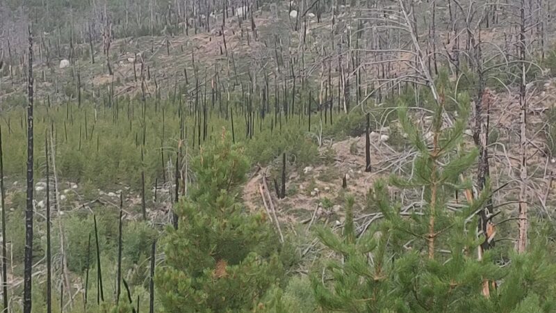 Racetrack campground - Deer Lodge, MT