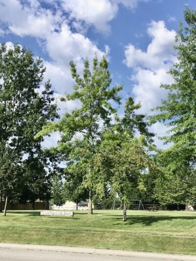 Country Club Park - Deer Park, WA