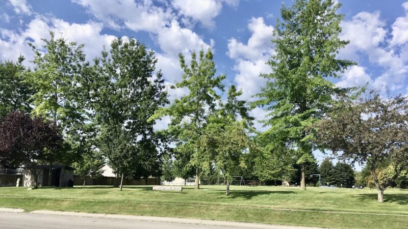 Country Club Park - Deer Park, WA