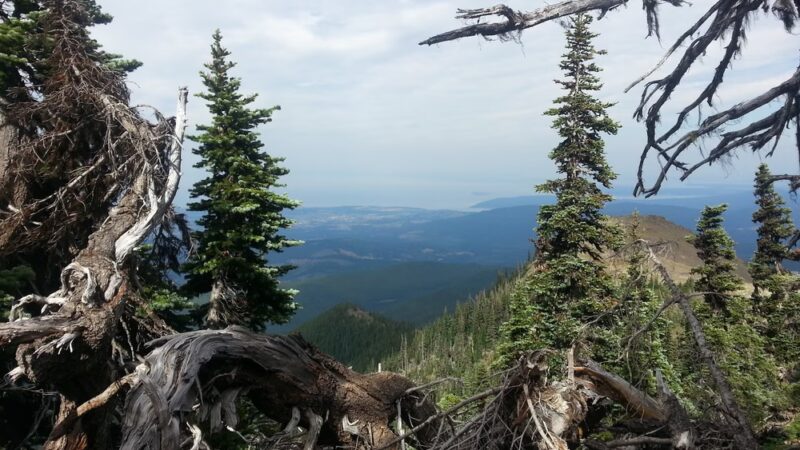 Deer Park - Deer Park, WA