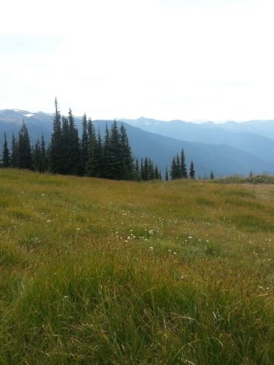 Deer Park - Deer Park, WA