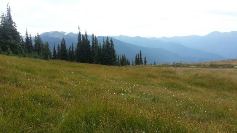 Deer Park - Deer Park, WA