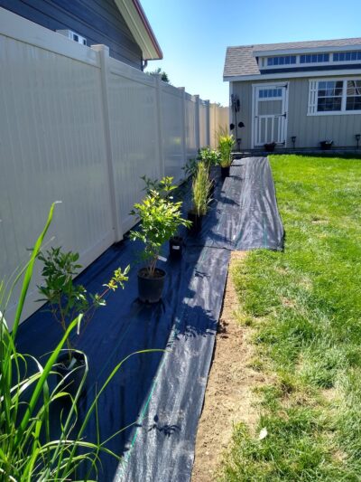 Deer Park Meadows Park - Deer Park, WA