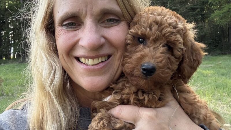 Doodle Paw Ranch - Deer Park, WA