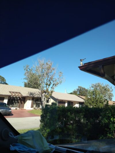 City of Deerfield - Ecidar Park - Deerfield Beach, FL