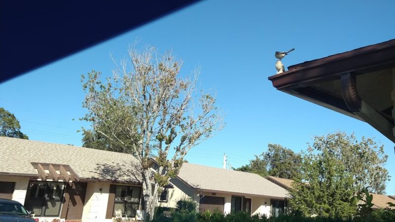 City of Deerfield - Ecidar Park - Deerfield Beach, FL