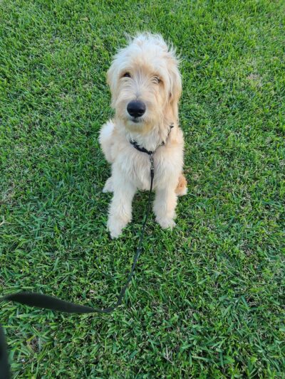 Cornerstone Park - Deerfield Beach, FL