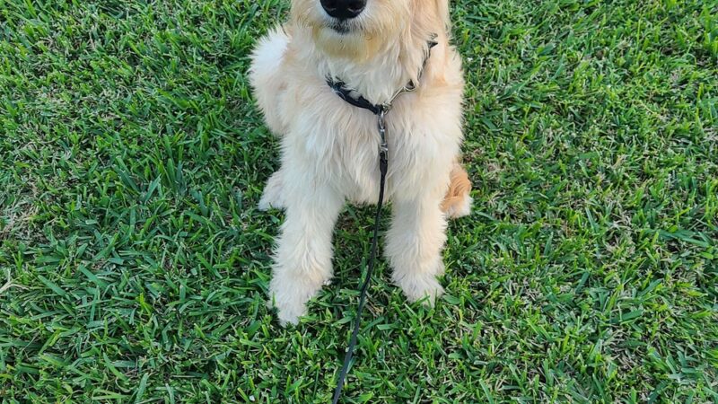 Cornerstone Park - Deerfield Beach, FL