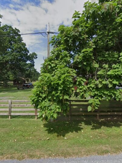 Deerfield Park - Deerfield, VA