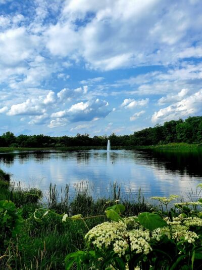 Broemmelsiek Park - Defiance, MO