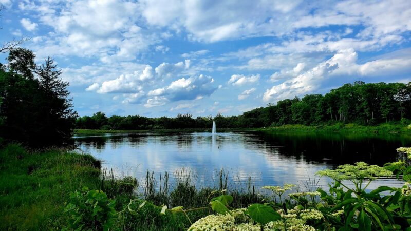 Broemmelsiek Park - Defiance, MO