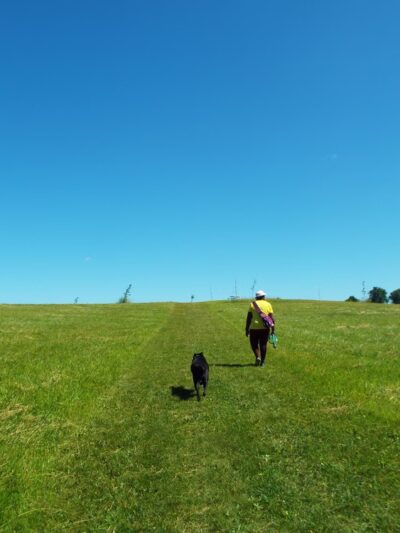 Token Creek Dog Park - DeForest, WI
