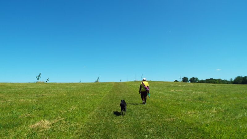 Token Creek Dog Park - DeForest, WI