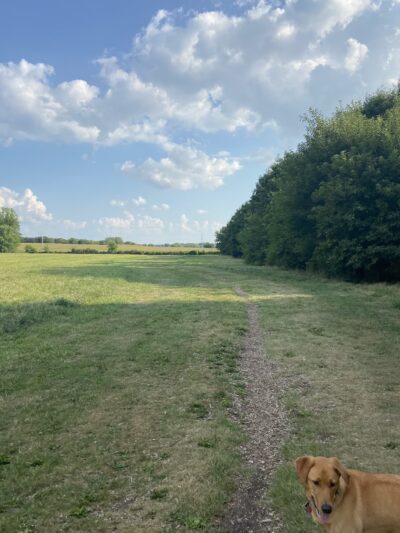 Token Creek Dog Park - DeForest, WI