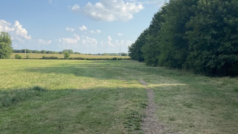 Token Creek Dog Park - DeForest, WI