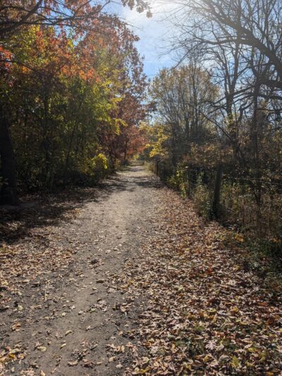 Token Creek Dog Park - DeForest, WI