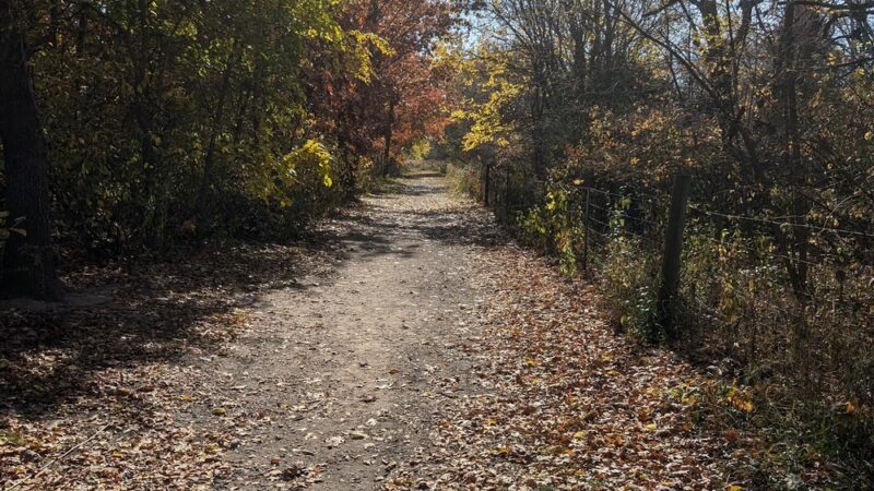 Token Creek Dog Park - DeForest, WI