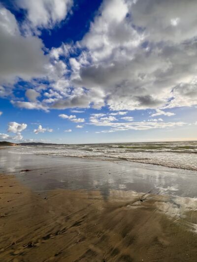 Del Mar Shores Park - Del Mar, CA