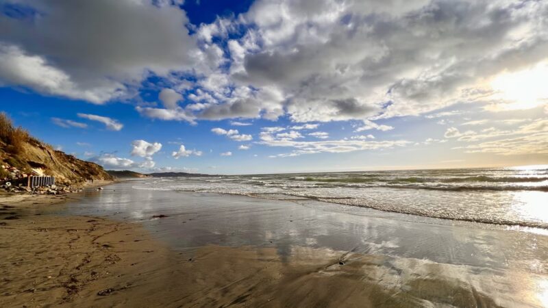 Del Mar Shores Park - Del Mar, CA