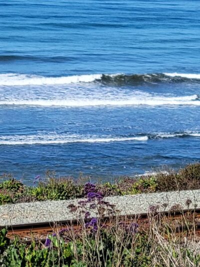 Del Mar Shores Park - Del Mar, CA