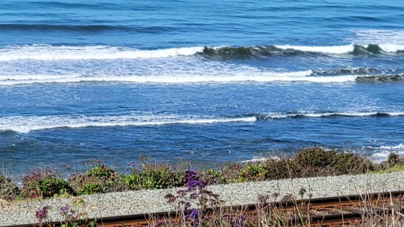 Del Mar Shores Park - Del Mar, CA