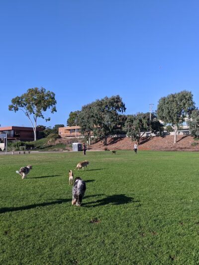 Del Mar Shores Park - Del Mar, CA