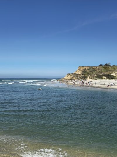 Dog Beach - Del Mar, CA