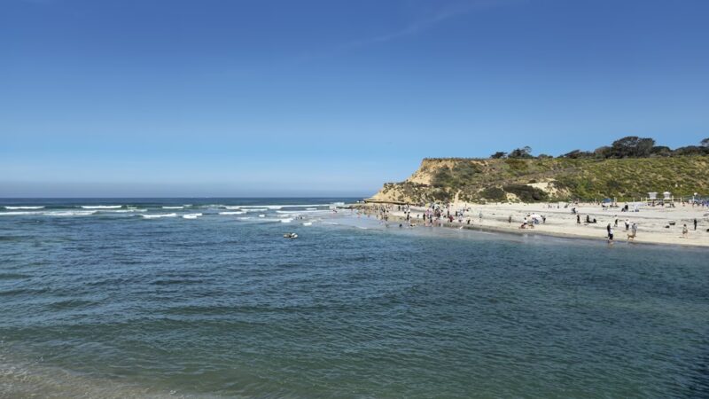Dog Beach - Del Mar, CA
