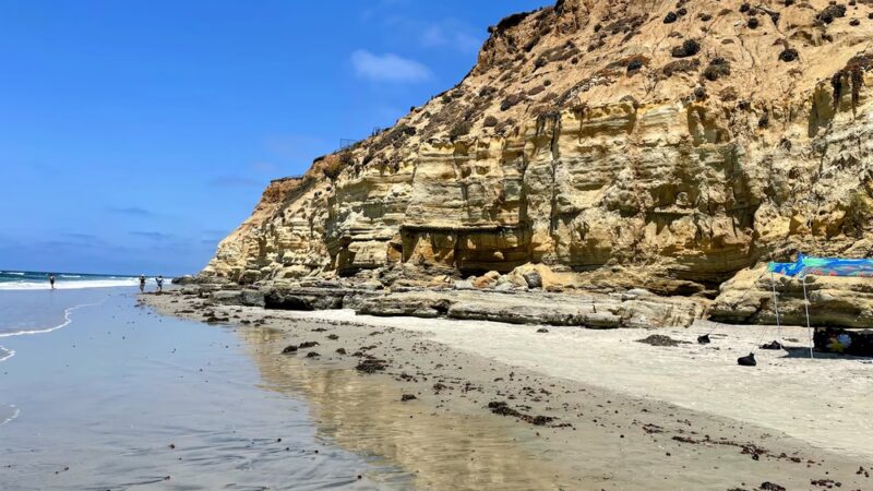 Dog Beach - Del Mar, CA