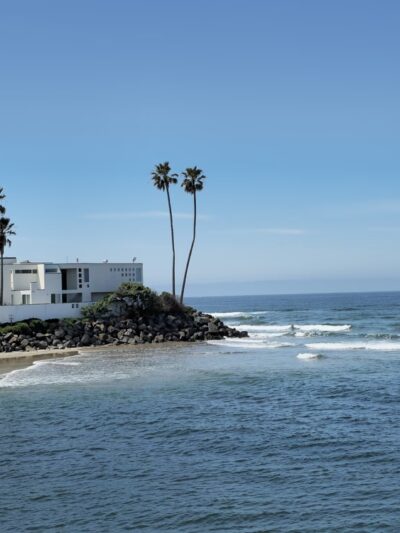 Dog Beach - Del Mar, CA