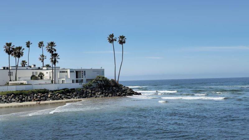 Dog Beach - Del Mar, CA
