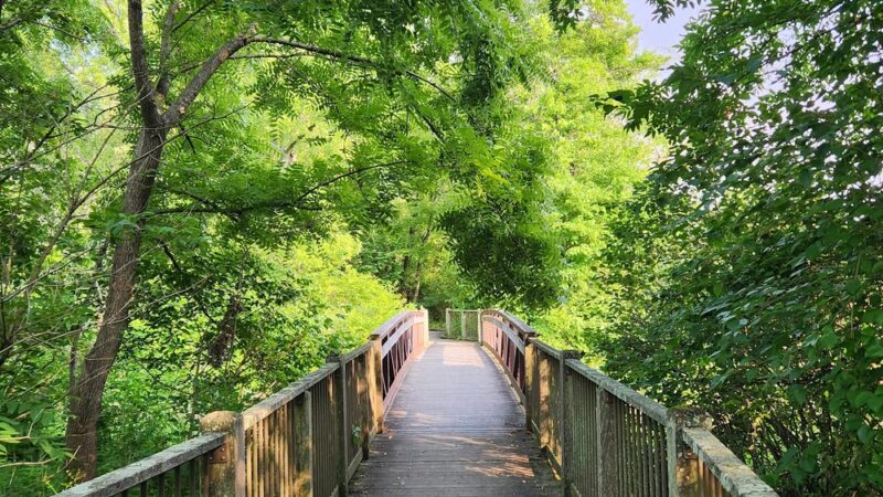 Pennington Park - Delanco, NJ