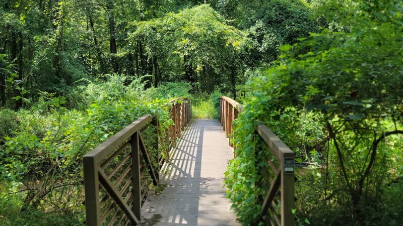 Demarest Nature Center - Demarest, NJ