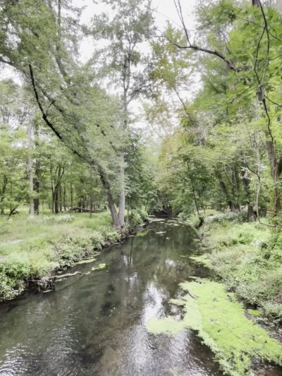 Demarest Nature Center - Demarest, NJ