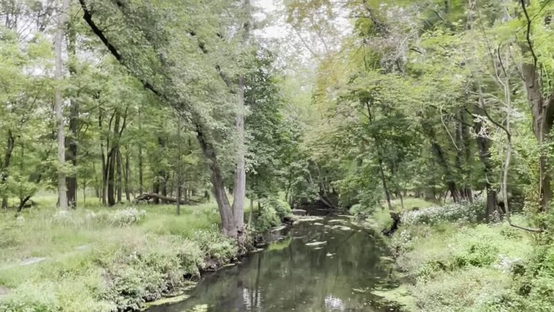 Demarest Nature Center - Demarest, NJ