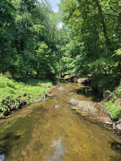 Demarest Nature Center - Demarest, NJ