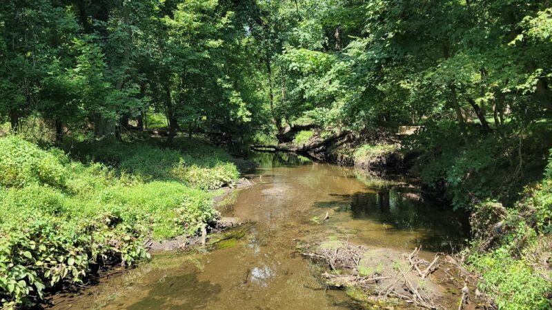 Demarest Nature Center - Demarest, NJ