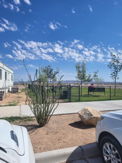 Dogs Park - Deming, NM