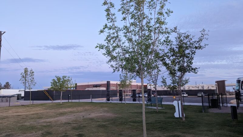 Dogs Park - Deming, NM